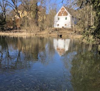 Diashow: Schloss Lichtengraben