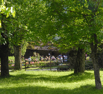 Diashow: Schloss Lichtengraben