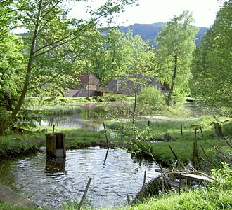 Diashow: Schloss Lichtengraben